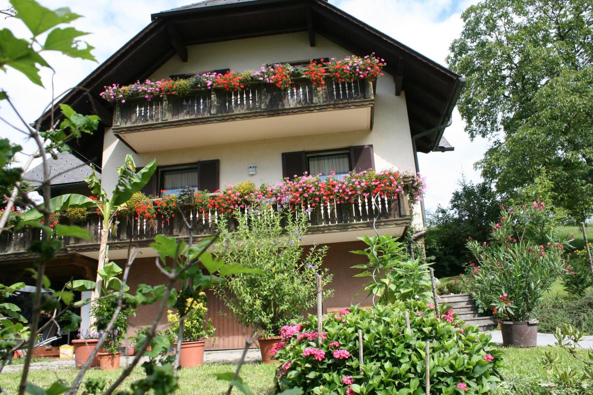 Gasthaus - Gaestehaus Schusterbauer Rein Buitenkant foto